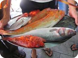 Fresh fish selection 